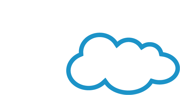 Professional Salesforce Services - Beyond The Cloud